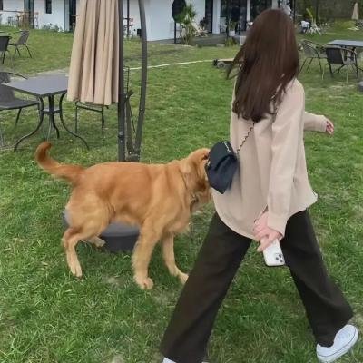 大叔与少年 封面